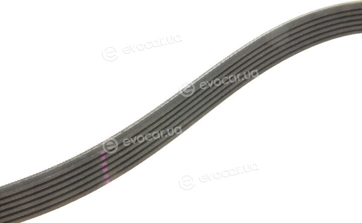 Gates 6PK873SF