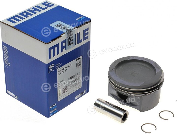 Mahle 030 60 13