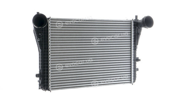 Mahle CI 161 000P