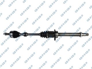 GSP 259658