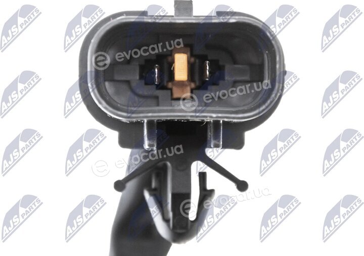 NTY EAG-MS-007