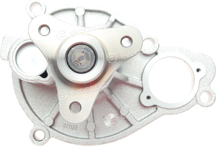Hepu P439