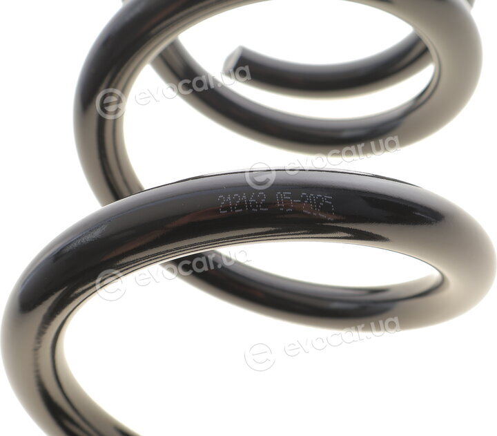 Solgy 212162