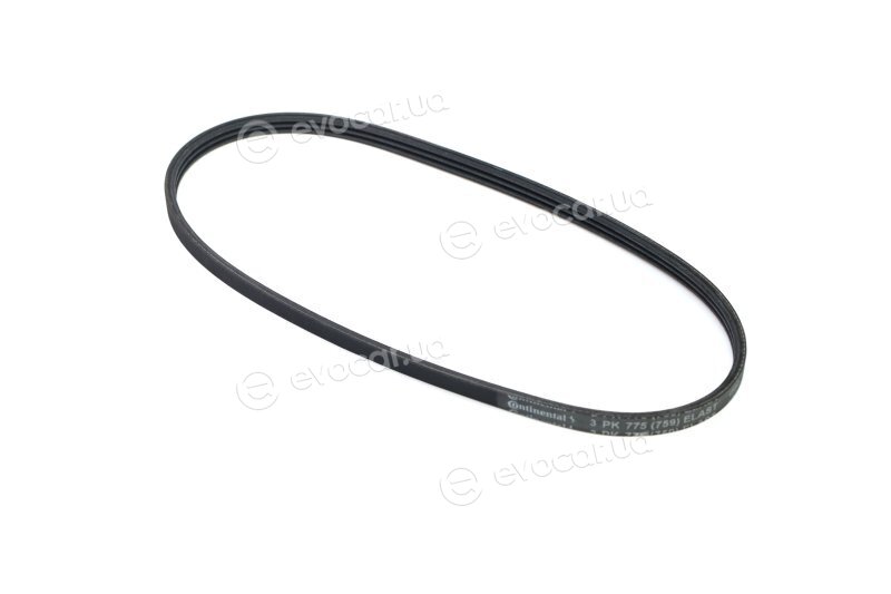 Continental 3PK775 ELAST
