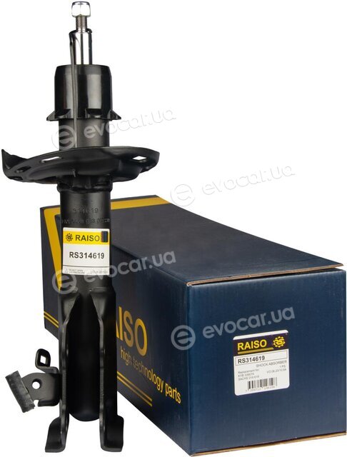 Raiso RS314619