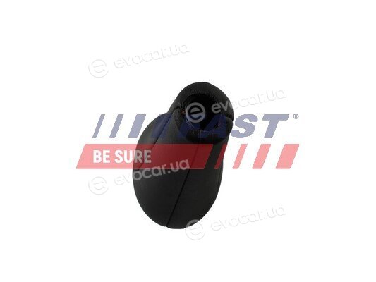 Fast FT09039
