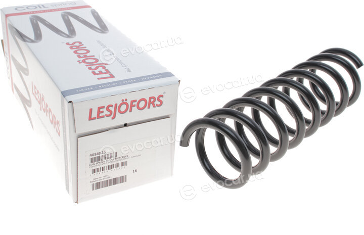 Lesjofors 4056826