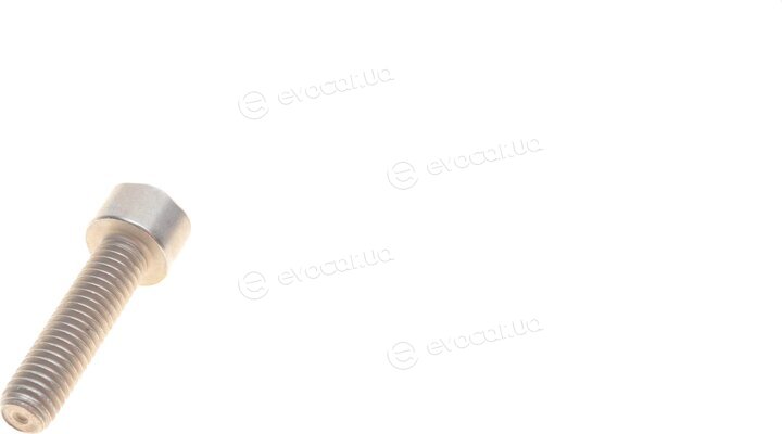 Bosch 1 465 ZS0 069