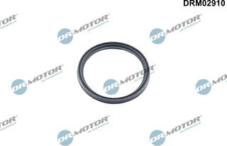 Dr. Motor DRM02910