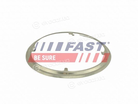 Fast FT84817