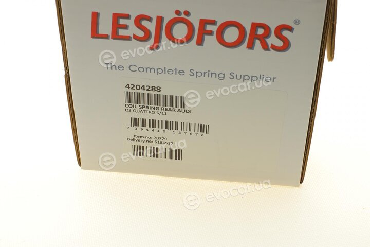 Lesjofors 4204288