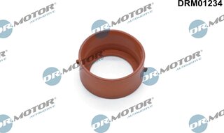 Dr. Motor DRM01234