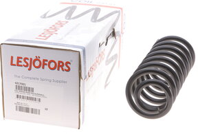 Lesjofors 4217001