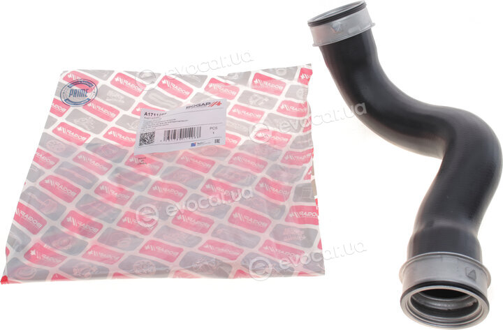 Bogap A1711289