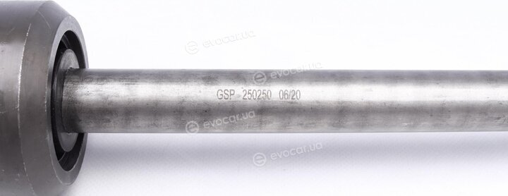 GSP 250250