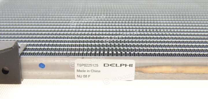 Delphi TSP0225125