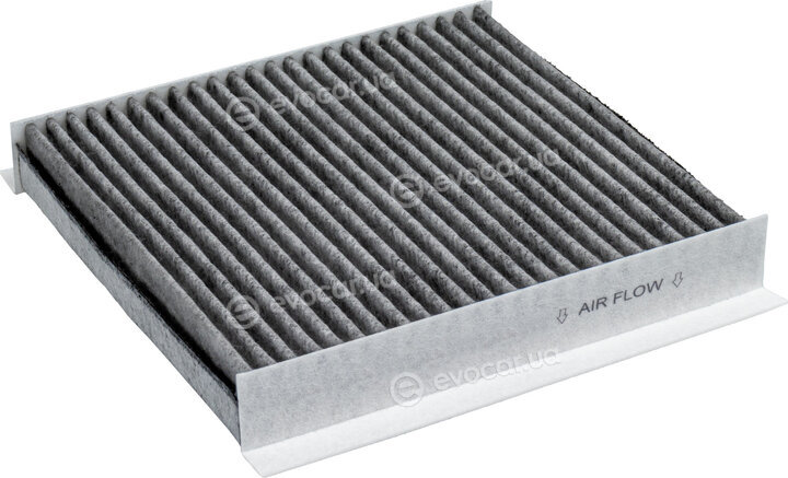 Blue Print ADBP250051