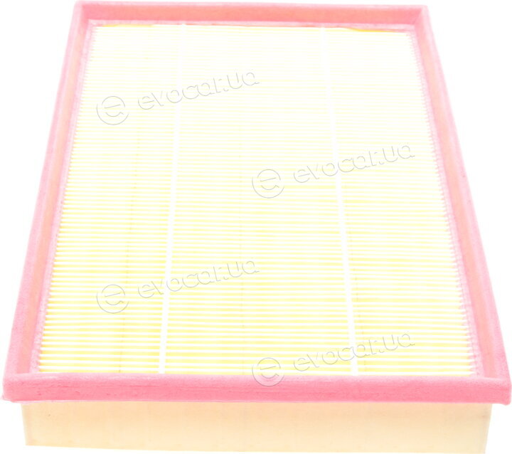 Solgy 103050