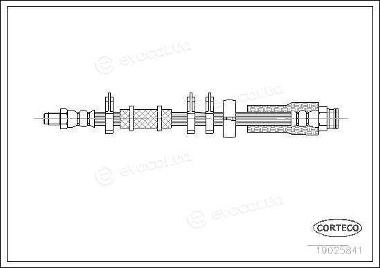 Corteco 19025841