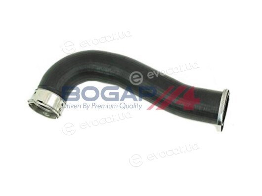 Bogap R1711103