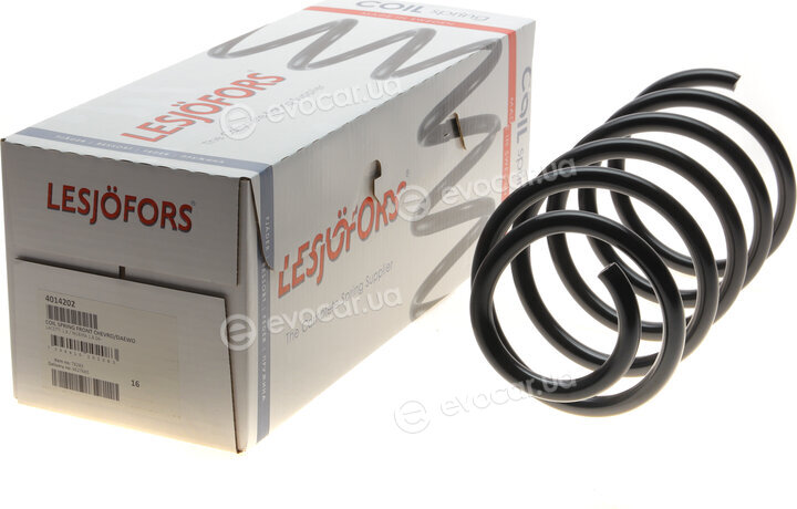 Lesjofors 4014202