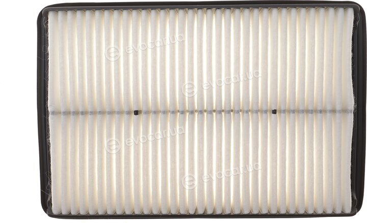 Solgy 103182