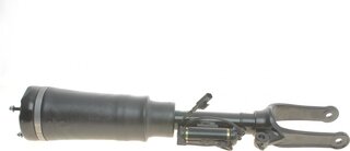 Arnott AS-2833