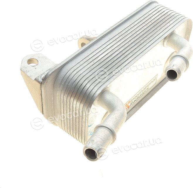 Van Wezel 06013753