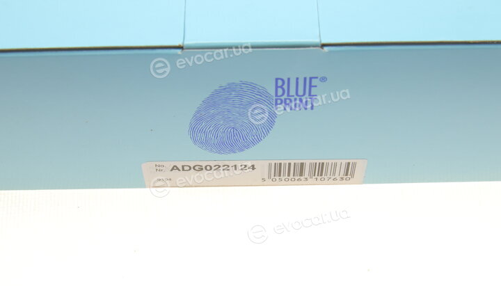 Blue Print ADG022124
