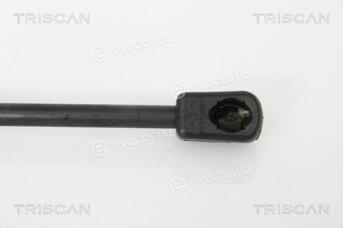Triscan 8710 29268