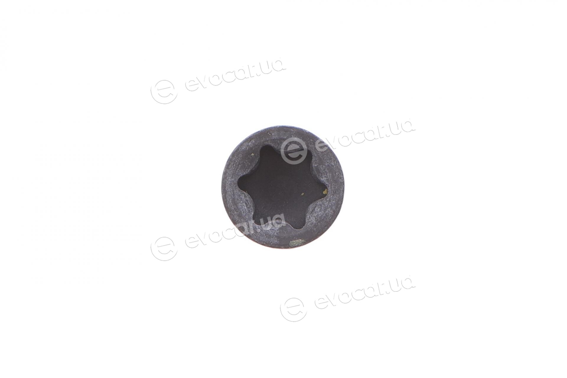 Blue Print ADF123305
