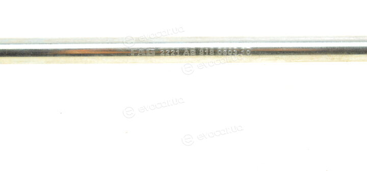 FAG 818 0603 10