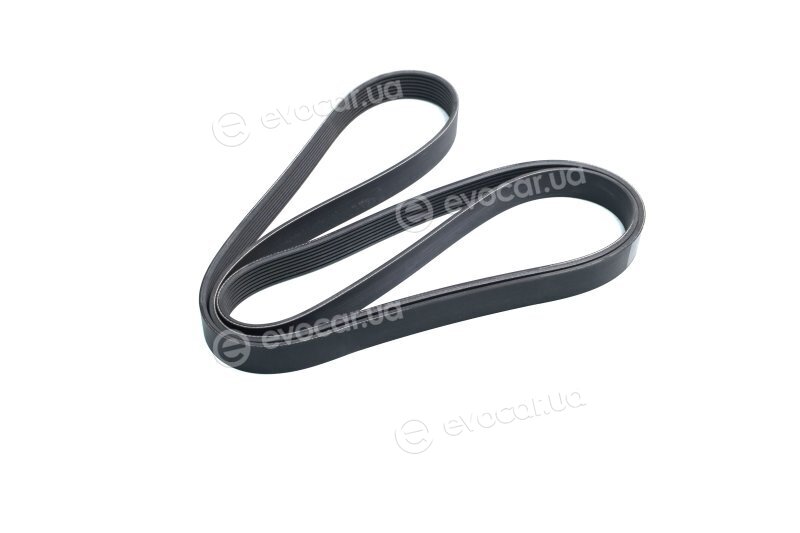 Continental 8PK2188