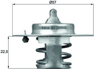 Mahle TX 60 83D
