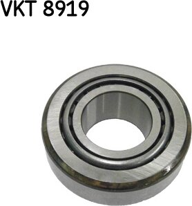 SKF VKT 8919