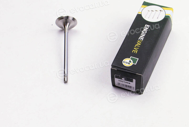 BGA V531004