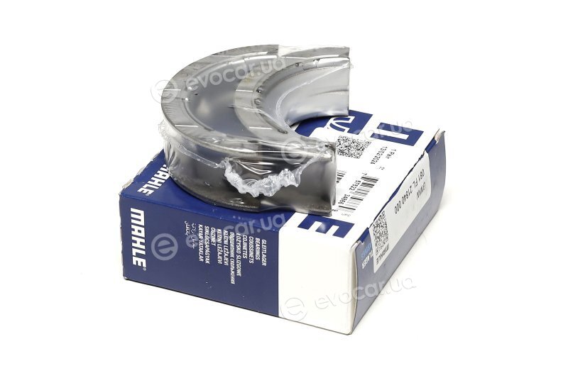 Mahle 081 FL 21840 000