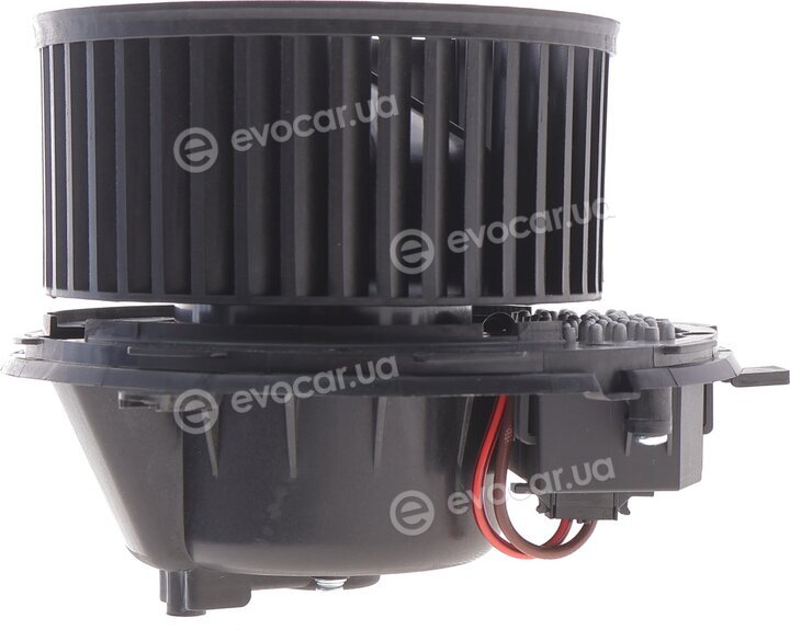 AIC 55004