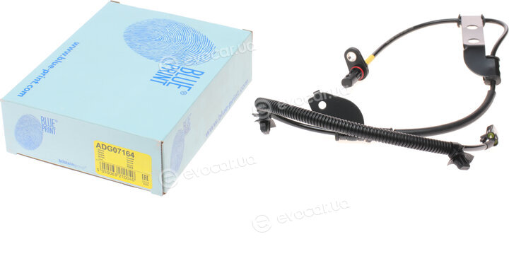 Blue Print ADG07164
