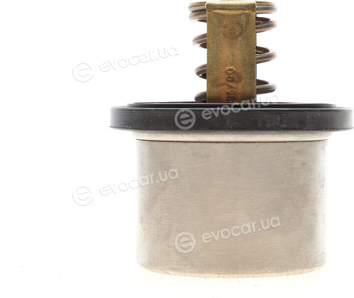 Wahler / BorgWarner 4619.80