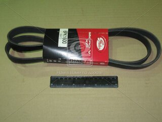 Gates 6PK1605