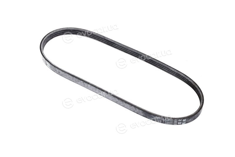 Continental 4PK753 ELAST