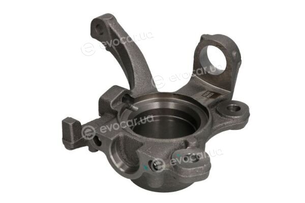 Reinhoch RH08-0057