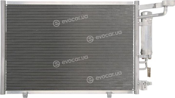 Delphi CF20255