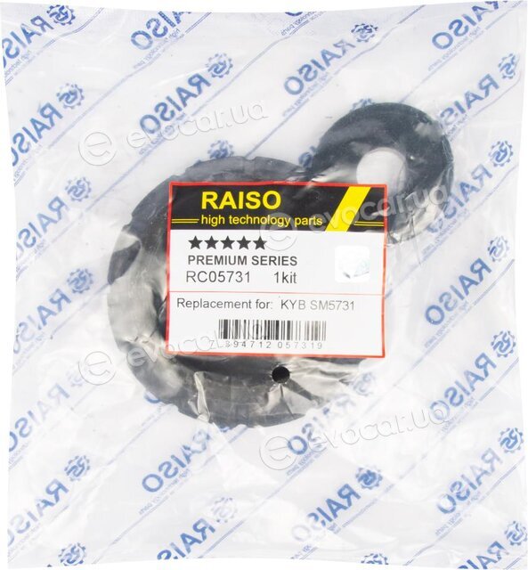 Raiso RC05731