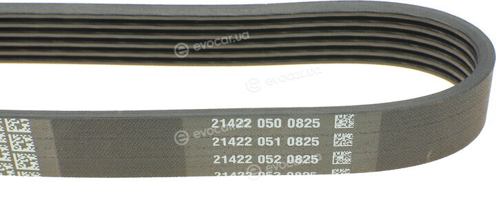Dayco 6PK1795