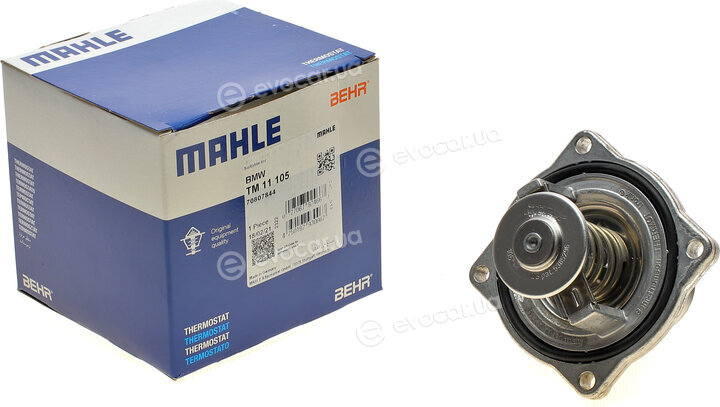 Mahle TM 11 105