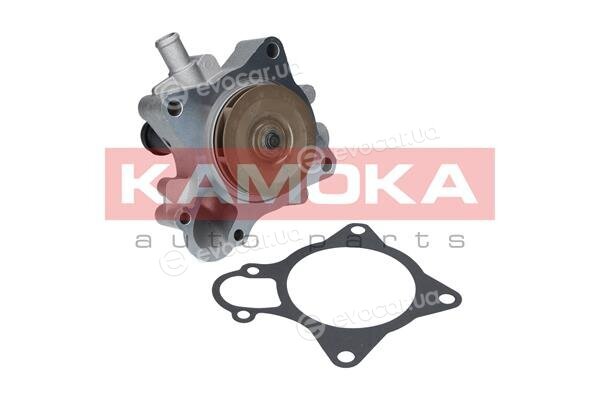 Kamoka T0164