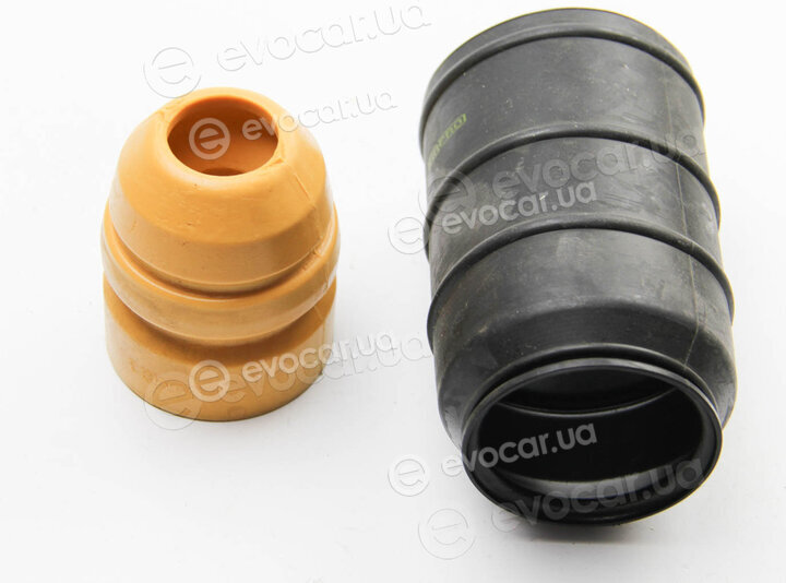 Rapro R53169