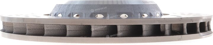 SHW BFL48151